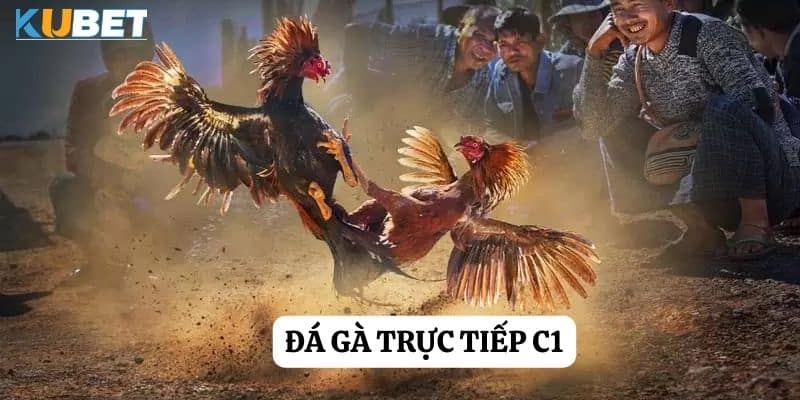 Hành trình hấp dẫn: Đá gà trực tiếp C1 tại Sunwin