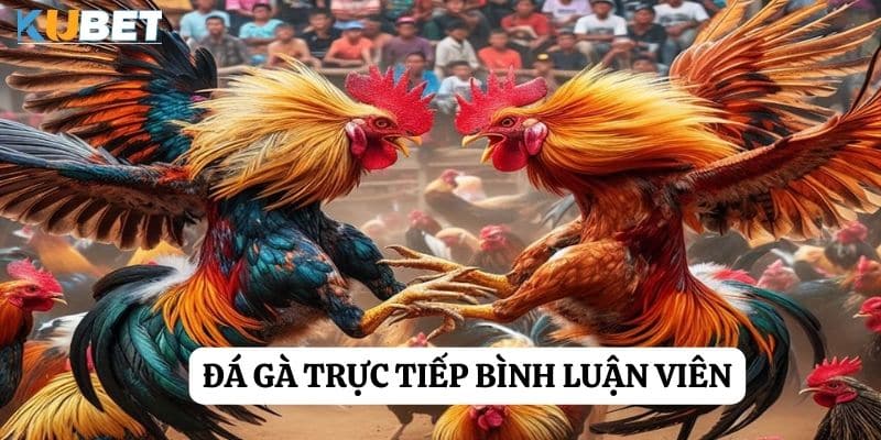 Trải nghiệm đỉnh cao: Đá gà trực tiếp bình luận viên tại Sunwin