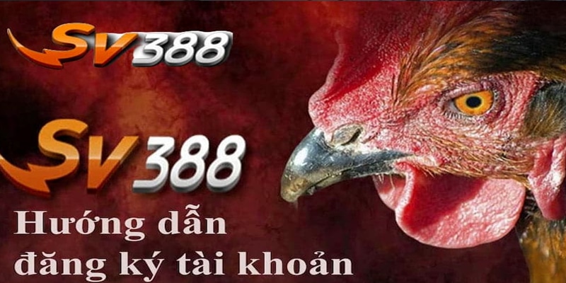 Đăng ký tài khoản đá gà SV388