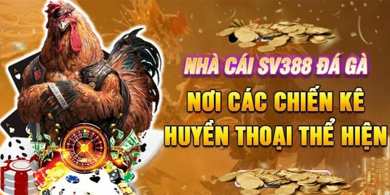 Kinh nghiệm chơi đá gà SV388 từ cao thủ