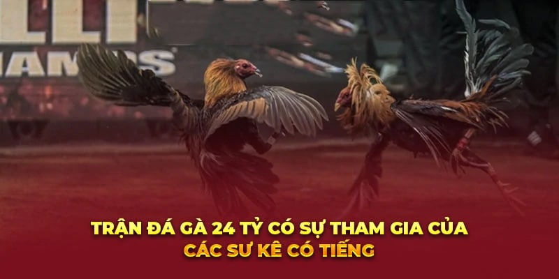 Điểm khác biệt giữa trận đá gà 24 tỷ với trận đá gà thông thường