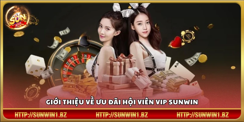 Tổng quan chương trình dành cho hội viên VIP Sunwin