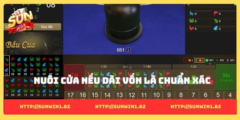 Nuôi cửa nếu dài vốn là chuẩn xác